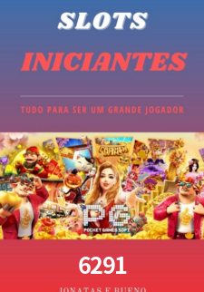 Premium Interface 6291